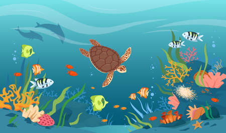 Turtle in sea or ocean waters, underwater tropical wildlife vector illustration. Cartoon aquatic animals and fishes swimming, cute coral reef and starfish of bottom undersea, marine life backgroundのイラスト素材