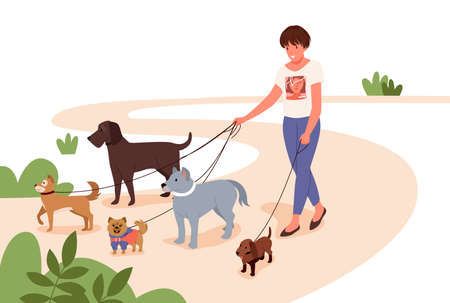 Cartoon girl puppy owner or volunteer on outdoor walk with animals on leashes. Dogwalker, pet care, veterinary concept. Woman walking with many dogs breeds together in city park vector illustrationのイラスト素材