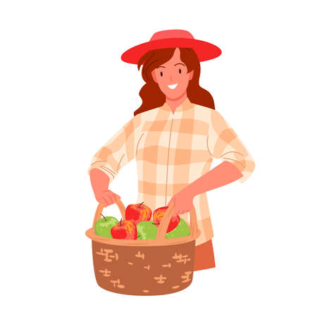 Girl holding basket in hands to collect ripe fresh red apples vector illustration. Cartoon female agricultural worker in hat working in village farm garden isolated on white. Harvest, food conceptのイラスト素材