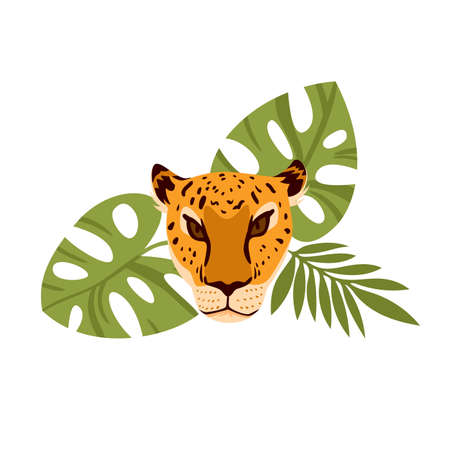 Face of wild leopard with palm leaves. Tropical fauna and vegetation, jungle carnivore cat, savannah hunter, spotted mammal animal, dangerous feline species vector illustrationのイラスト素材