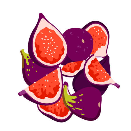 Fresh figs vector illustration. Cartoon sweet whole purple fruit cut in half and pieces, red slices with seeds and purple skin, isolated exotic ripe healthy dessert and organic summer snack for eatingのイラスト素材