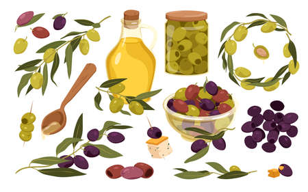 Set of olives fruit and natural jug oil. Green and black olives with leaves, jar with pitted olives, aperitif snacks, bitter mediterranean fruit, healthy food vector illustrationのイラスト素材