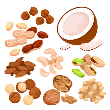 Nut seeds with shells set vector illustration. Cartoon isolated organic dry nutty food mix, natural snack collection with healthy coconut almond walnut hazelnut cashew pecan chestnut for eatingのイラスト素材