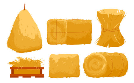 Bales of hay set vector illustration. Cartoon isolated golden haystacks of different shapes, yellow straw pile in bundle and wood crate, round or square roll with rope, farm forage collectionのイラスト素材