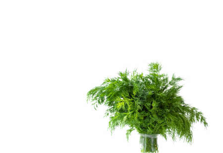 Isolated green dill on a white background.