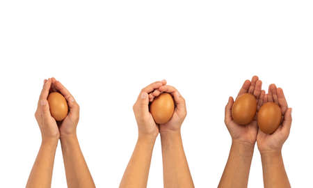 Brown, white eggs on hand isolated on white background. Kids hand  hen egg isolated on white background.   .の写真素材