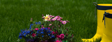 Gardening tools and spring flowers on grass background. Rubber boots standing near wooden crate with flowers.の写真素材