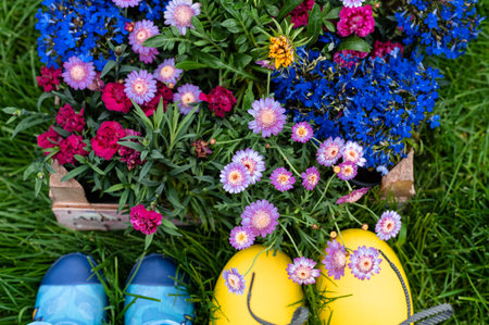 Gardening tools and spring flowers on grass background. Rubber boots standing near wooden crate with flowers.の写真素材
