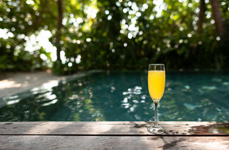 Tropical cocktail on a background of tropical plant leaves and sun shades. on a background of tropical plant. Color background.の写真素材