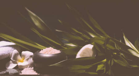 Balinese spa setting, white frangipani with sea salt and fresh coconut. Hot Stone Massage Set. White massage towels.の写真素材