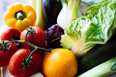 Cabbage And Green Vegetable Collect. Assorted organic vegetables. Assorted vegetables tomatoes, fennel, leeks, zucchini, paprika, chinese cabbage.の写真素材