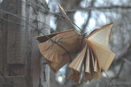Open book hanging on a barbed wire fenceの写真素材