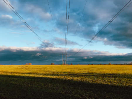 Blue sky with clouds over a yellow fieldの写真素材