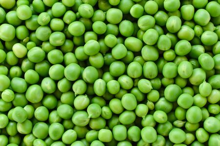 Green pea. Background for postcards.の写真素材