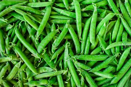 Green pea. Background of green peas. Proper nutrition.の写真素材