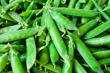 Green pea. Background of green peas. Proper nutrition.の写真素材