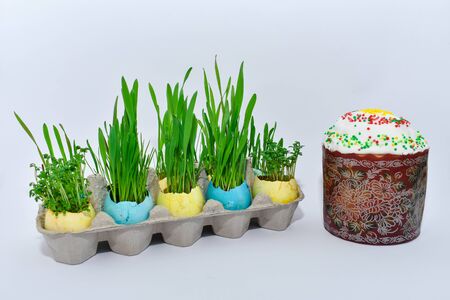 Easter. Colored eggs with young green sprouts of wheat and Easter cake. Easter. Concept of Easter.
