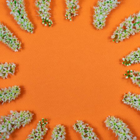 A wreath of white cherry flowers and green leaves on an orange background. Place for an inscription. View from above. Blank for postcards.の写真素材