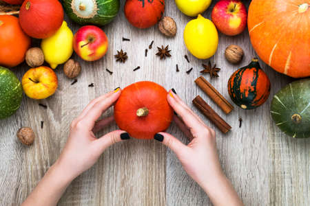 Female hands hold a pumpkin on a background of autumn. Autumn background from pumpkins and fruits on a wooden background. Autumn background concept. Pumpkin, apples, lemon, nutsの写真素材