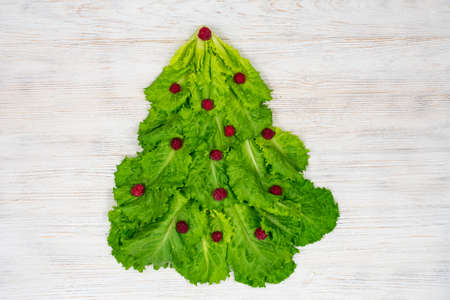 The Christmas tree is lined with green lettuce leaves, decorated with red raspberries on a white wooden background. Food for the New Year. Table decoration.の写真素材