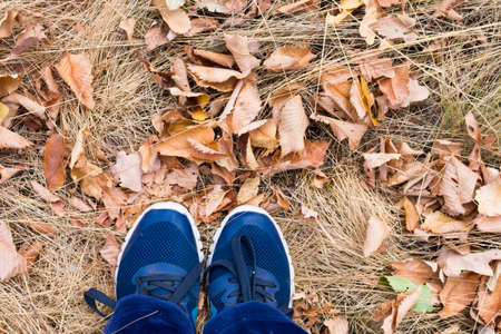 The legs of a woman in sneakers stand on dry grass. Fall. Fall grass.の写真素材