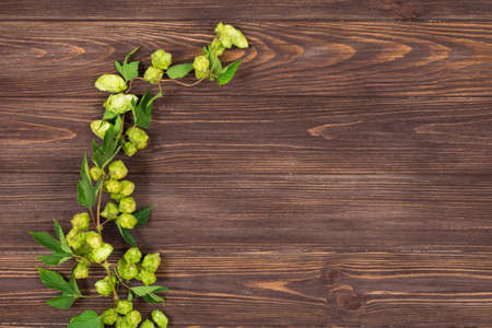 Hop branch on a dark wooden table. Place for an inscription. Ingredient for beer productionの写真素材