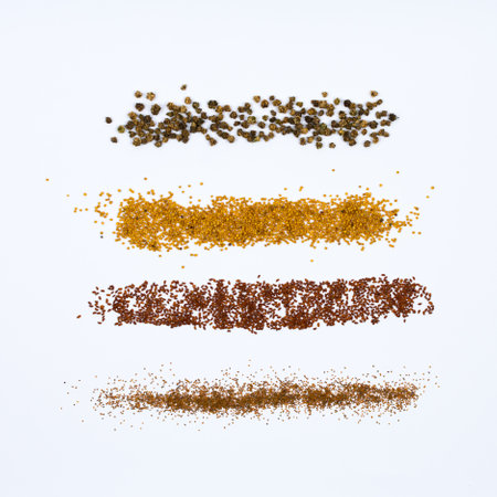 Seeds scattered on a white table top to bottom frame. Seeds of micro greens of beet, mustard, amaranth, lettuce.の写真素材