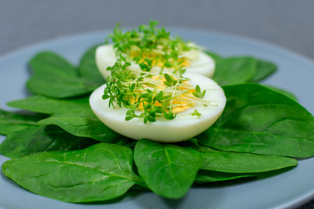 Microgreens on eggs. Decorate the salad with microgreen leaves. Diet food. Boiled and fresh eggs next to fresh crispy herbs. Contemporary style saladの写真素材