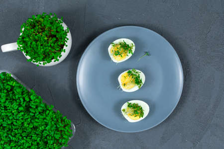 Microgreens on eggs. Decorate the salad with microgreen leaves. Diet food. Boiled and fresh eggs on...