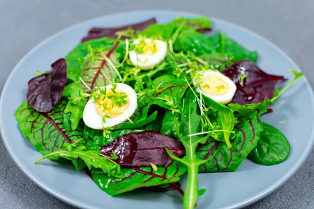 Quail eggs boiled on a lettuce leaf with microgreen sprouts. The concept of proper nutrition. Vegan food. Place for an inscription. View from above.の写真素材