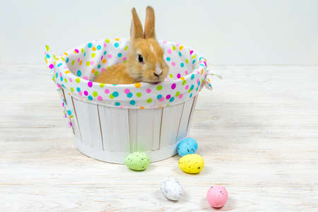 Rabbit in a white basket with colorful Easter eggs on a white table. Place for an inscription....