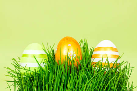 Multi-colored Easter eggs in green grass on a green background. Place for an inscription, text....