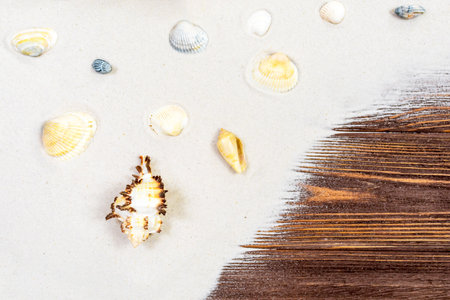 Shells and sand on dark wooden boards. Seaside concept. Selective focus on seashells and sand. Place for an inscription. View from above.の写真素材