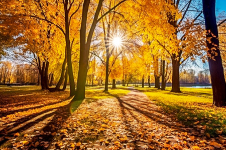 Gold-colored trees, red-orange foliage in an autumn park. AI generatedの素材