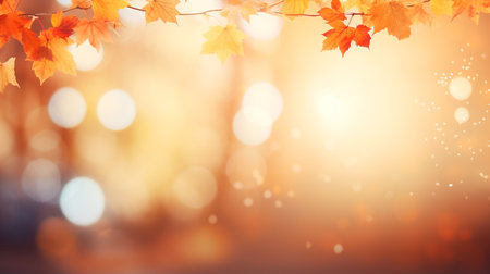 Autumn orange leaves over blurred sky, autumn nature background with bokehの素材