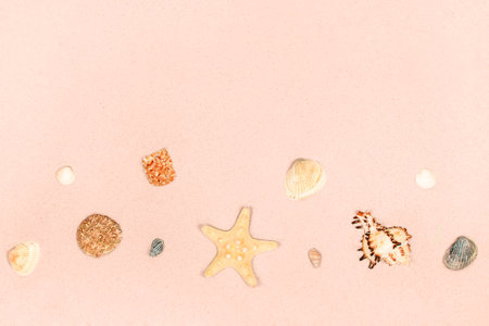 Starfish and shells on the sand as a background. Demonstrating color of 2025 year mocha mousseの写真素材