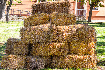 Stacked hay bales in a grassy park setting on a sunny day