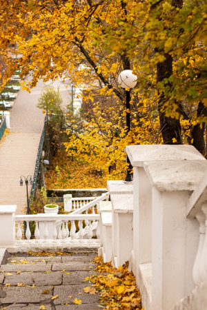 Scenic autumn staircase surrounded by golden yellow leaves in a tranquil parkの写真素材