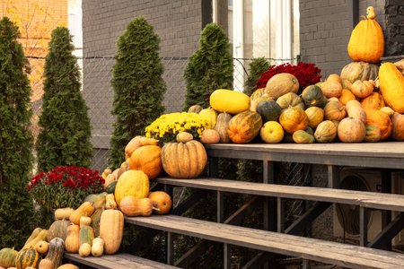 A festive autumn display showcasing pumpkins arranged with seasonal flowers outdoorsの写真素材