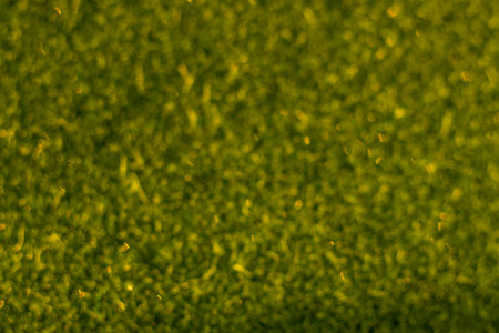 Golden glow over a green field with soft bokeh lights and warm sunlightの写真素材