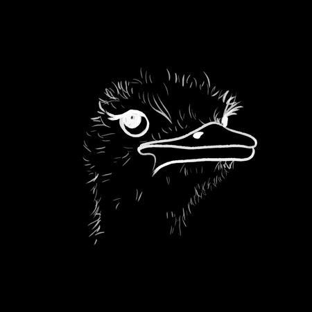 ostrich line vector illustrationのイラスト素材