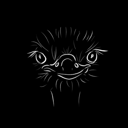 ostrich line vector illustrationのイラスト素材