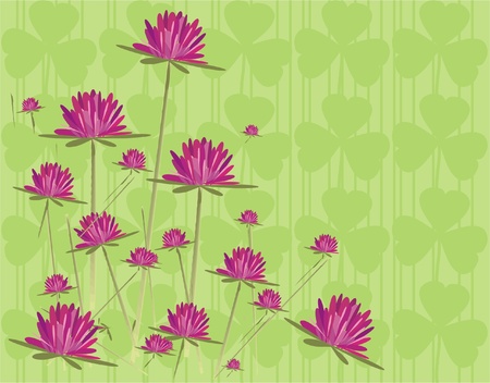 wild flowersのイラスト素材