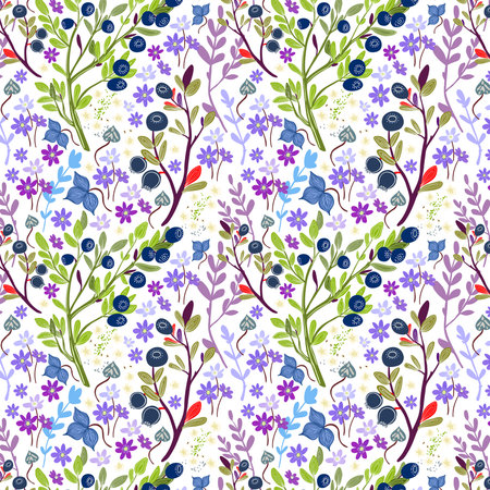 Pattern of northern grasses and blueberries in a vector illustration style.の写真素材