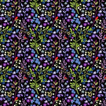 A colorful pattern featuring northern plants and herbs, a blueberry meadow. Flowers, berries, and leaves on a black background.の写真素材