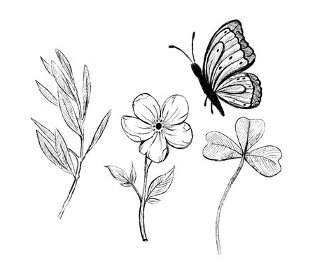 A set of sketch-style drawings of nature. Flower, butterfly, clover, leaf, grass.の写真素材