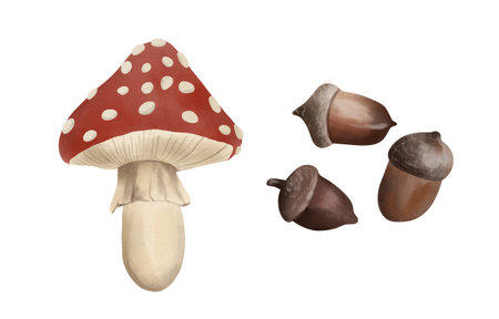 Watercolor illustration of a red fly agaric mushroom with acorns. Gifts of autumn.の写真素材