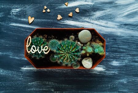 Decorative cacti on a blue background with small wooden hearts, top view, blank space for textの写真素材