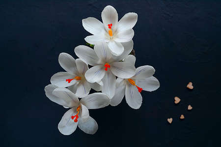 bouquet of spring daffodils on a dark background with hearts, top view, space for textの写真素材