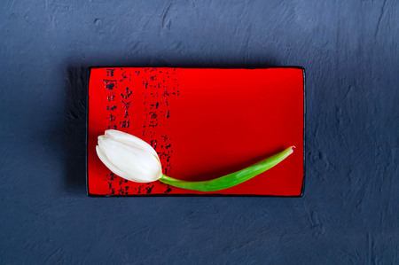 white tulip on a red ceramic tray for sushi on a blue concrete background, top view, space for textの写真素材
